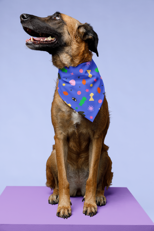 Spell Bandana